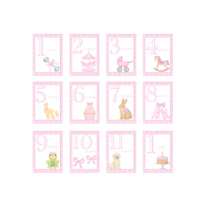 Milestone Cards - Pink Milestone Cards - Pink