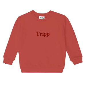 Boys Red Embroidered Sweatshirt Boys Red Embroidered Sweatshirt