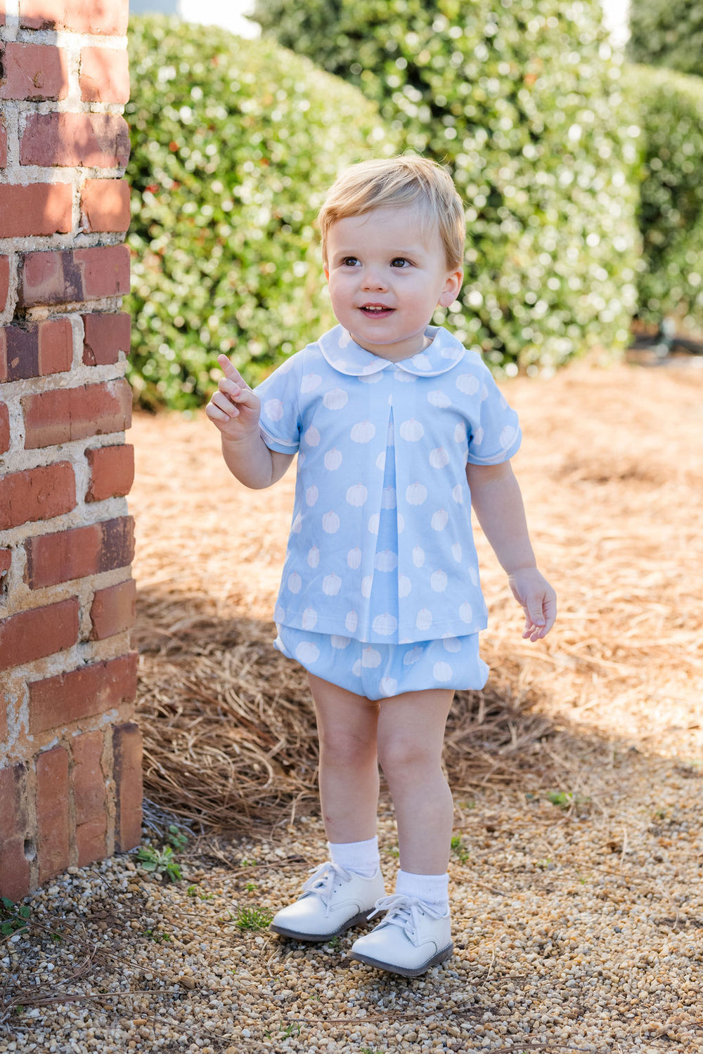 Rory Diaper Set - Blue Pumpkins