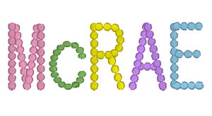 Dotted Colorful Name Embroidery Design