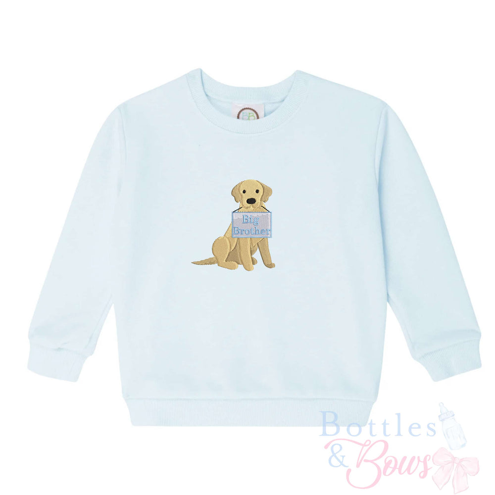Light Blue Embroidered Sweatshirt
