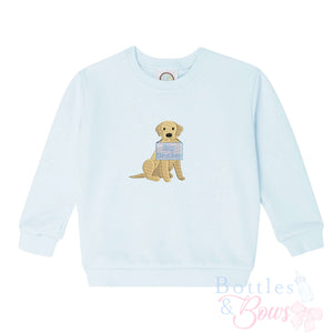 Light Blue Embroidered Sweatshirt