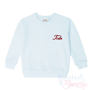 Light Blue Embroidered Sweatshirt