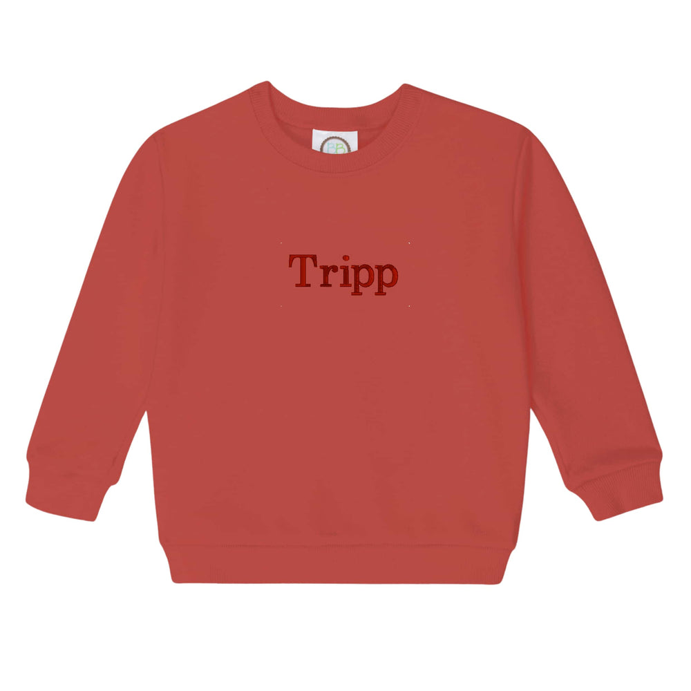 Boys Red Embroidered Sweatshirt
