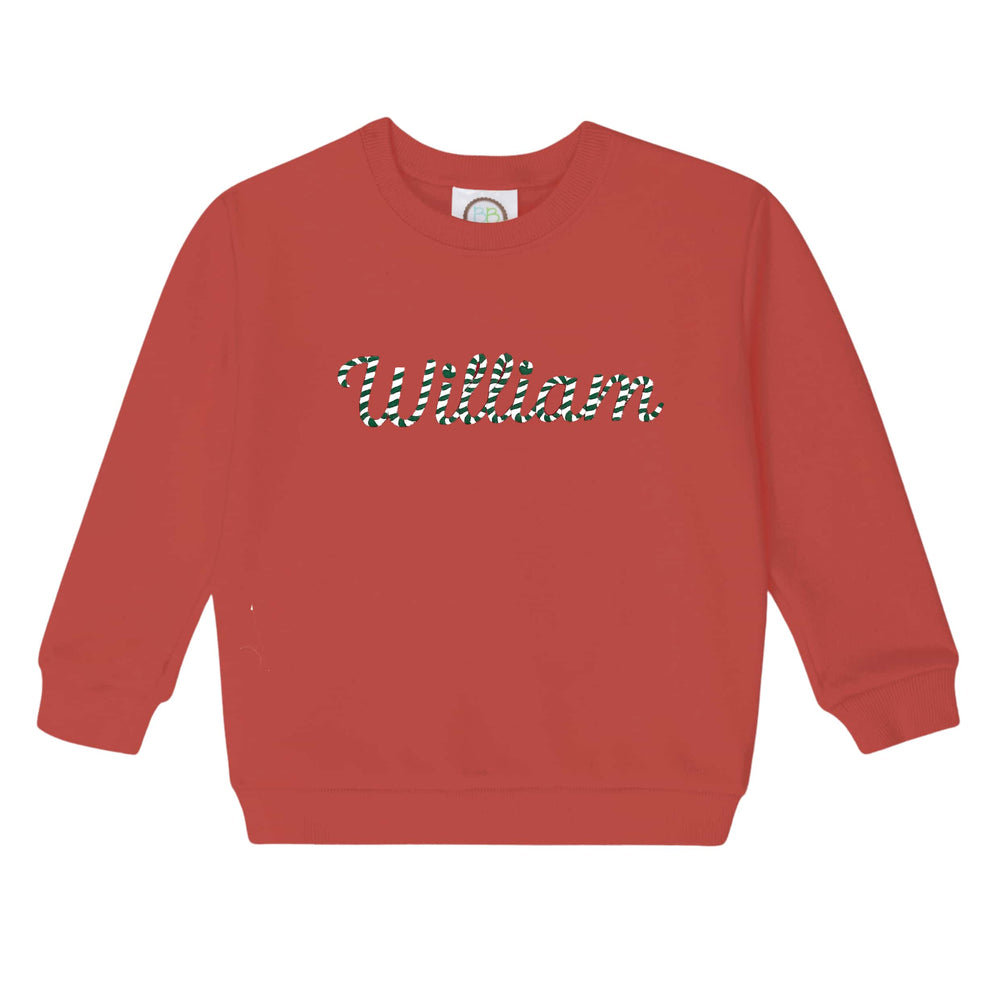 Boys Red Embroidered Sweatshirt